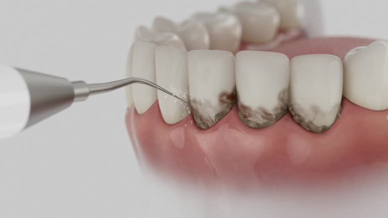 Reliable Dental contractor in Forest Hills, MI by Dentist Open Now